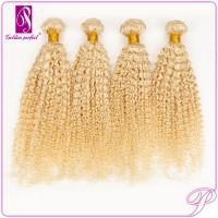 100% Human Hair Blonde Hair Weave Malaysian Jerry Curl Hair